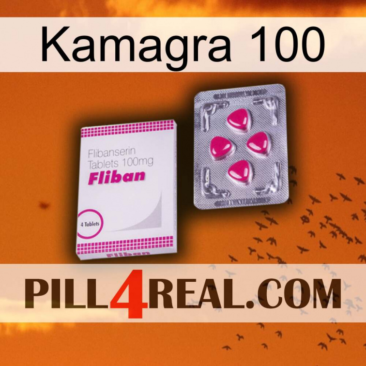 Kamagra 100 32